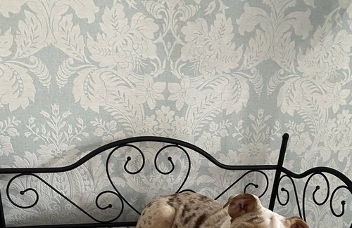 Bensville Cabina | Adorable one bedroom open plan living cabin