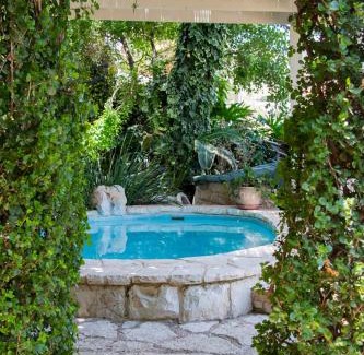 Rosh Pinna Cabina | Adva High Above All
