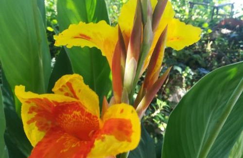 Villanova Monteleone Casa | AFFITTA CAMERE CASA DELLE ROSE