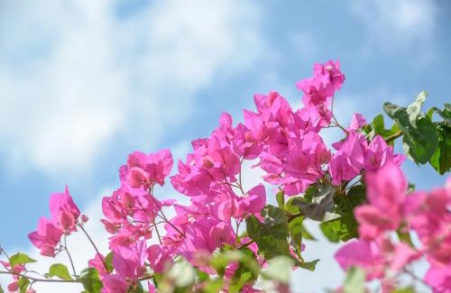 Agia Anna Apartamento | Aggeliki's Diamond