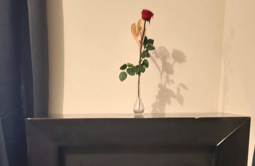 Mulhouse Apartamento | Agréable Belle et Douce Appartement Avec Cheminée