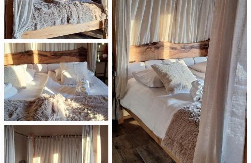 Arfanta Casa | Agriturismo La Pina