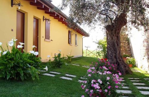 Notaresco Casa | Agriturismo Tenuta Santa Maria