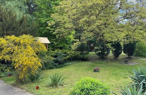 Rzepin Apartamento | Agroturystyka Staroscin