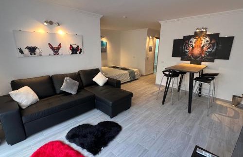 San Miguel de Abona Apartamento | Air conditioning, private parking and fully equipped Kitchen in hotel room in Golf del Sur, Tenerife