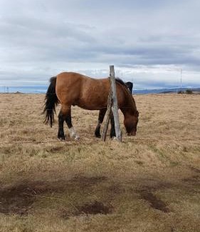 Province of Tierra del Fuego Apartamento | Alakalufes House