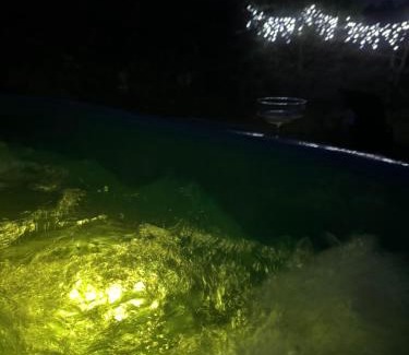 Alanta Villa | ALANTOS ŽIRGAI Holiday Villas sauna or hottube additional price