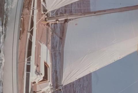 Orikum Alquiler De Eote | Albatros