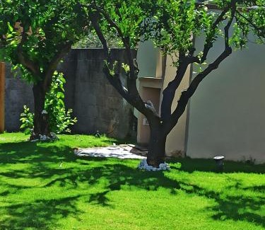 Domus de Maria Casa | ALBELDI'