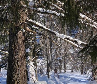 Bieltschocke Hotel | Albergo Alpenrose Ski&Bike Mountain Hotel