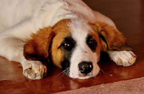 Cafayate Cama Y Desayuno | Algarroba B&B