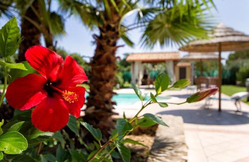 Alghero Villa | Alghero Villa Morena with exclusive swimming pool and large garden