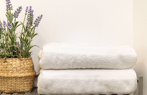 Park Mesa Heights Apartamento | All-in-One Cozy Retreat!