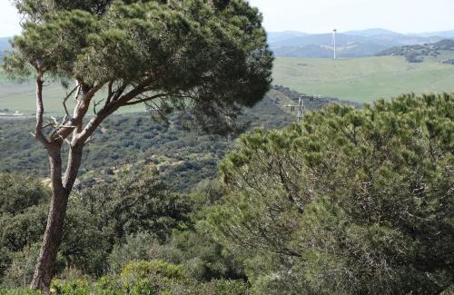 Alcalá de los Gazules Apartamento | Alojamiento Rural El Lario