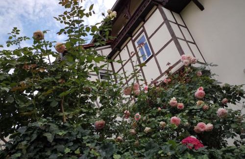 Weissensee Apartamento | Altes Standesamt Weißensee