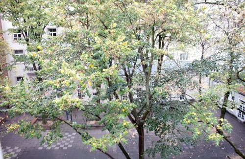 Innenstadt Hotel | Altstadthotel Hayk am Rhein