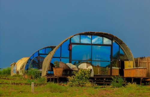 Amboseli Alquiler De RV | Amanya 2-rooms Lioness Family