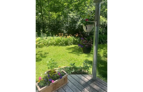 Belfast Casa | Amazing house in the forest; 10 minutes to Belfast