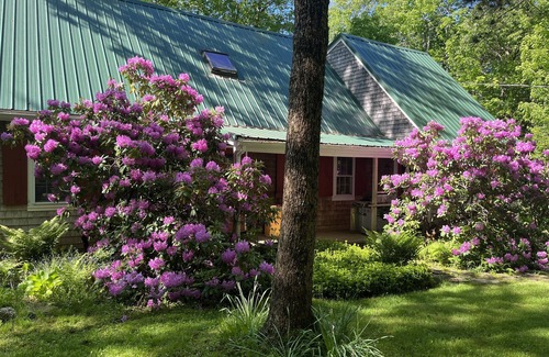 Belfast Casa | Amazing house in the forest; 10 minutes to Belfast