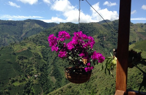 Salgar Villa | Increíble Finca en la Zona de Café cerca de Medellín!