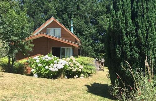 Pucon Chalet De Esquí | amazing view of the volcano