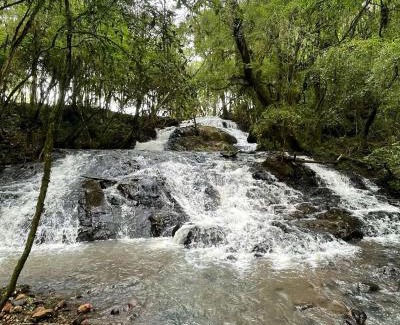 Capinzal Casa | American Bus Glamping - Capinzal/SC