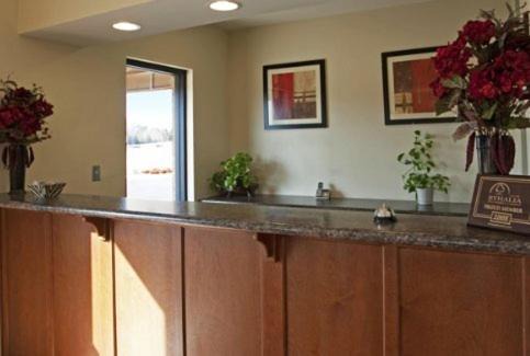 Byhalia Hotel | Americas Best Value Inn Byhalia