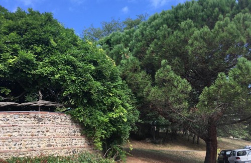 Ancely Apartamento | Ancely Studio Aséptisé