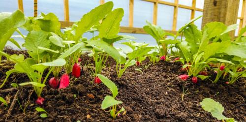 Cochamo Hotel | Andes Lodge, Puelo Patagonia