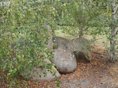 Tenterfield Casa | Annie's