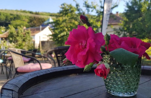 Tokaj Apartamento | Antalóczy Cottage