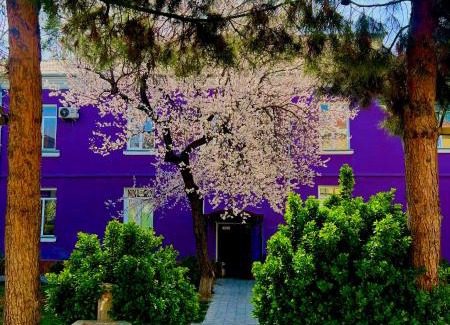 Khujand Apartamento | Apart Hotel Armon