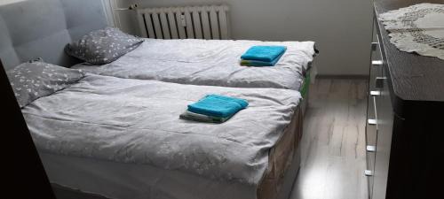 Nowa Ruda Apartamento | Apartament Biedronka