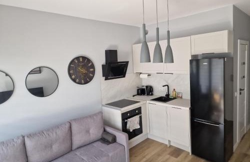 Brzezno Apartamento | Apartament dworska Brzezno