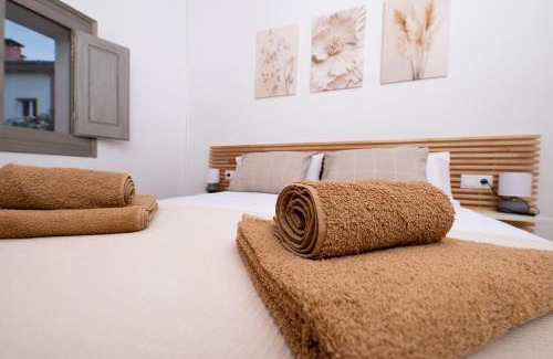 Campdevanol Apartamento | Apartament La Plana