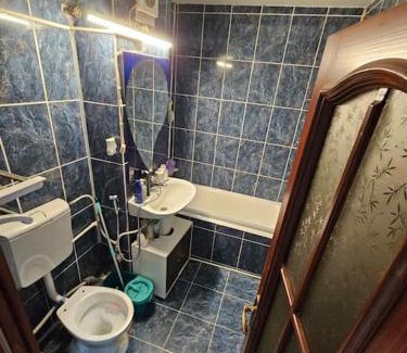 Tirgu Jiu Apartamento | Apartament Rebeca Central