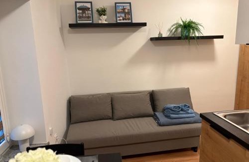 Tarnow Apartamento | Apartament Rybna 1 Centrum