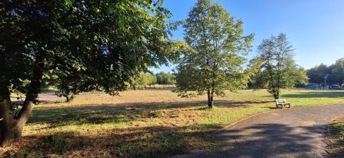 Czeladz Apartamento | Apartament Saturna