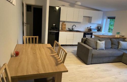 Sosnowka Apartamento | Apartament w malowniczej Sosnówce