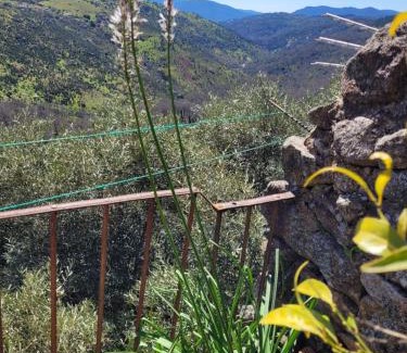 Miranda del Castanar Apartamento | Apartamento La Muralla