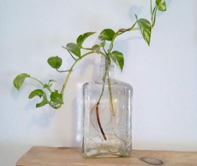 Santa Marina Apartamento | Apartamento San Agustín