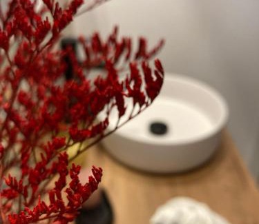 Corella Apartamento | Apartamentos Abadía.