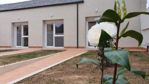 Carucedo Apartamento | Apartamentos Turísticos Magencio