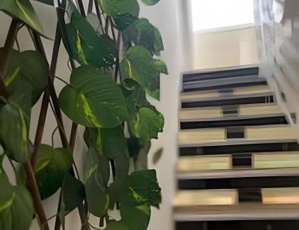 Barreirinhas Cabina | Apartamentos Vitória