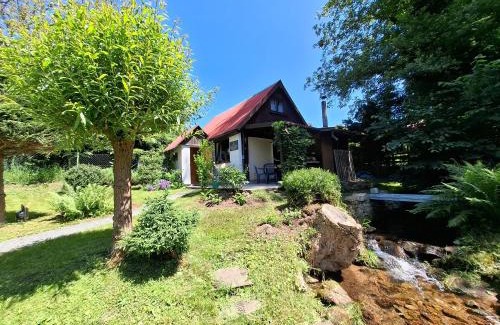 Kudowa Zdroj Apartamento | Apartamenty Kudowski Potok