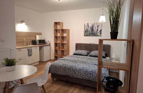 Kudowa Zdroj Apartamento | Apartamenty Kudowski Potok