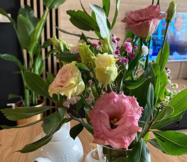 Uniejow Apartamento | Apartamenty Termalne GREEN Apartment