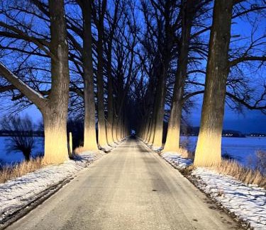 Orlinki Apartamento | Apartamenty Wiślany Przekop