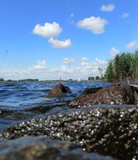 Orlinki Apartamento | Apartamenty Wiślany Przekop