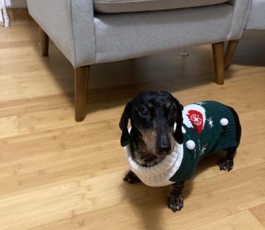 Smichov Apartamento | Aparthotel City 5